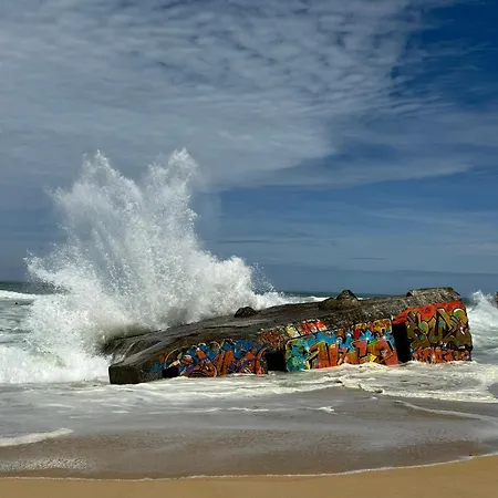 Au Calme - 3 Etoiles Capbreton